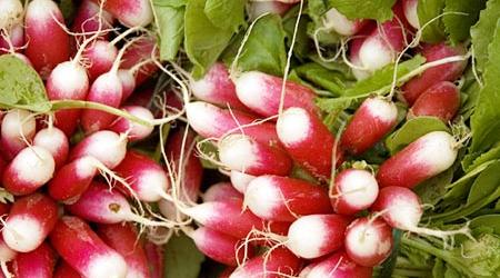 Escuela de cocina, clases de cocina en Madrid - Alambique