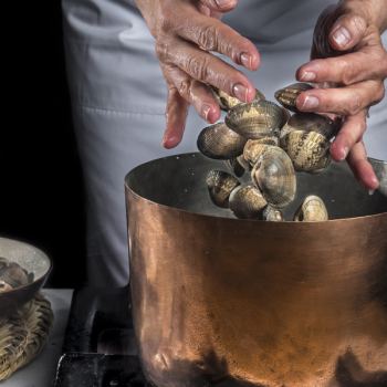 Cocina para principiantes