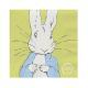 Servilletas de Papel Conejo Peter Rabbit
