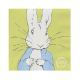 Servilletas de Papel Conejo Peter Rabbit