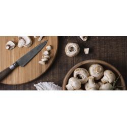 curso de cocina setas