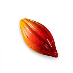 Moldes policarbonato bombon haba cacao