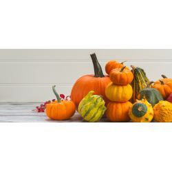  Calabaza: sus 1001 usos