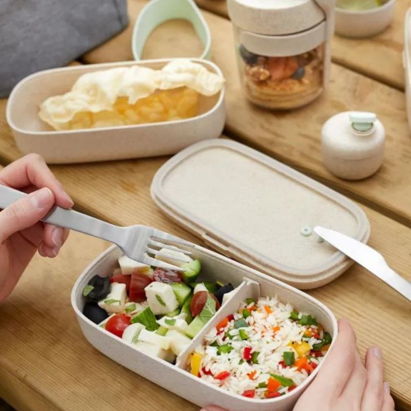 Mh Mediterraneanhabitat Tupper Fiambrera hermetica Bento Box - Taper Lunch para  Comida, Almuerzo y Merienda con Compartimentos y Cubiertos - Para Trabajo,  Colegio y Niños - Beige : : Hogar y cocina