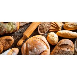 Taller de iniciación al pan