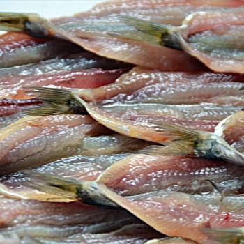 Técnicas para disfrutar del pescado