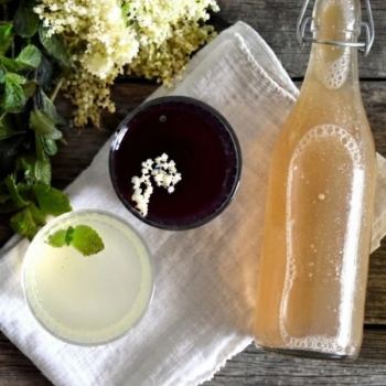 Curso de bebidas fermentadas