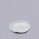 Concha Porcelana