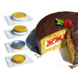 Molde Tarta Sponge Flan - Alambique