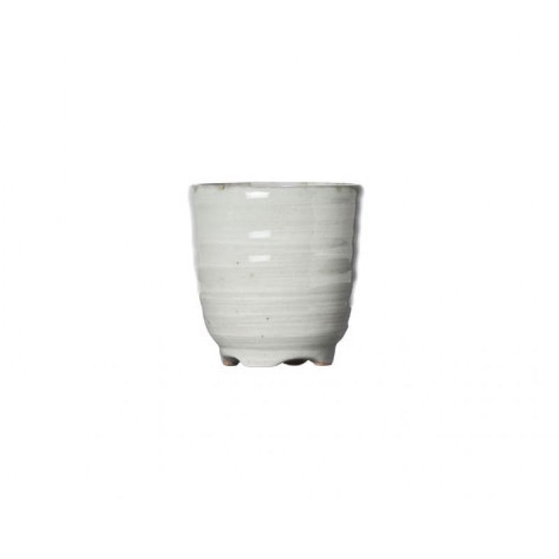 Vaso Sake Japonés