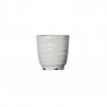 Vaso Sake Japonés