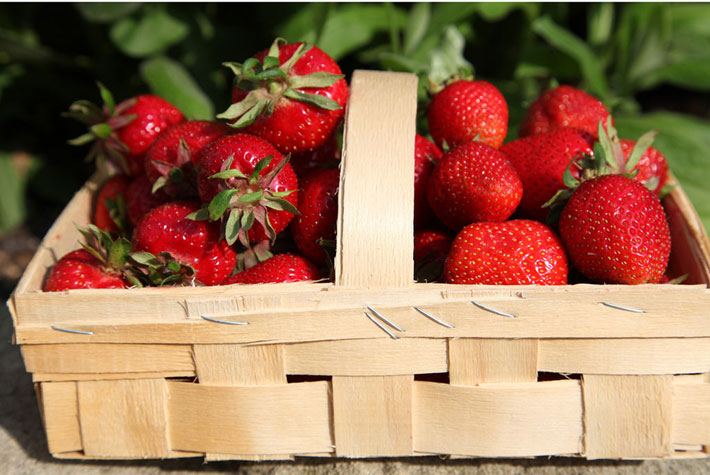 Cesta con fresas